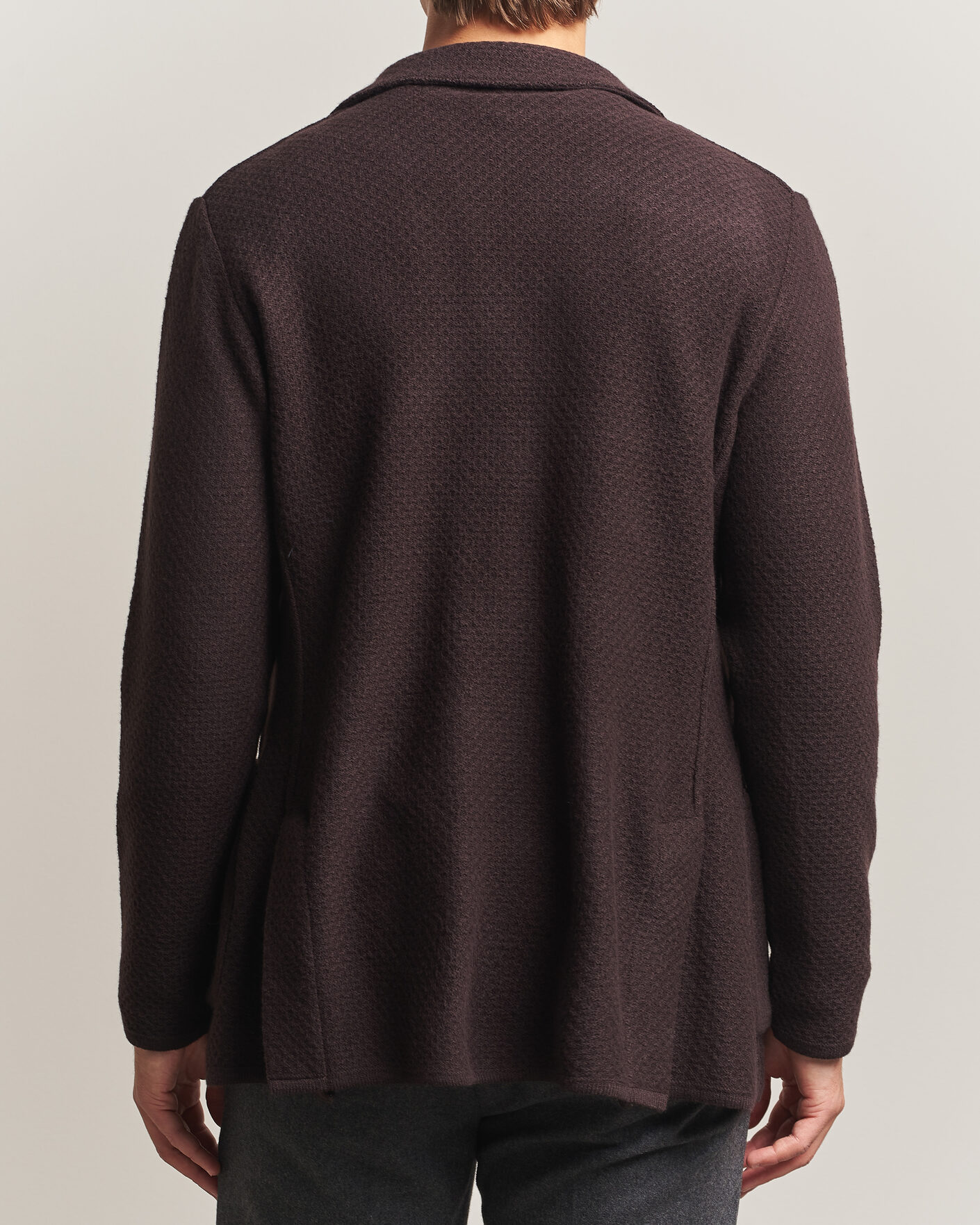 Herren | Sakkos | Lardini | Knitted Structure Wool/Cashmere Blazer Brown